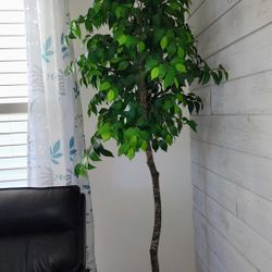 Tall Indoor Artificial Tree/Plant 60 OBO