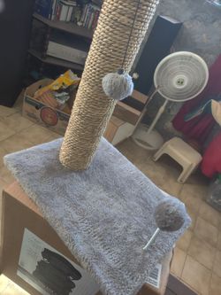 Scratch pole for cats