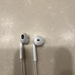 Apple Earphones 