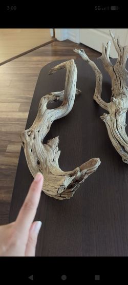 Aquarium Driftwood
