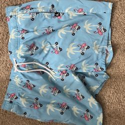 Adult Large Swim Trunks