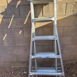 Werner 22 Ft. Telescoping Ladder 
