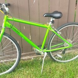 Green Schwinn Bike