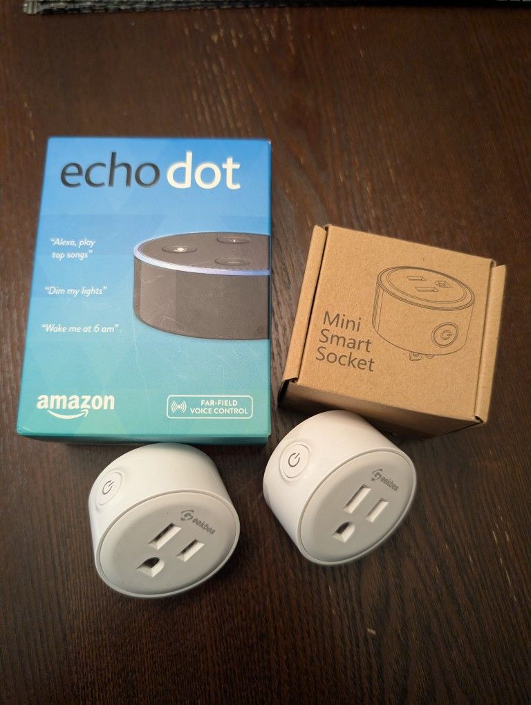 Amazon Echo Dot and WiFi Smart Plug