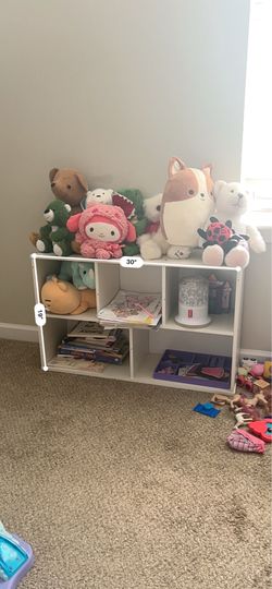 White 5-Cube Storage Organizer