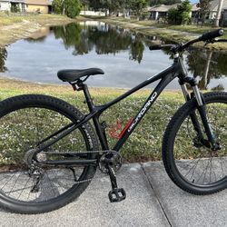 Giordano Intrepid 29" Mountain Bike SERVICED