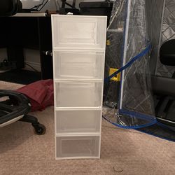 Shoe Organizer 
