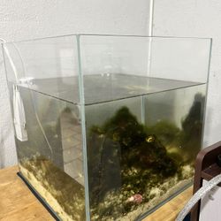 SALTWATER AQUARIUM 5GALLON TABLETOP 