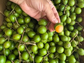 Mamoncillo y Lychee