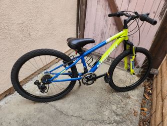 24" bike bicycle