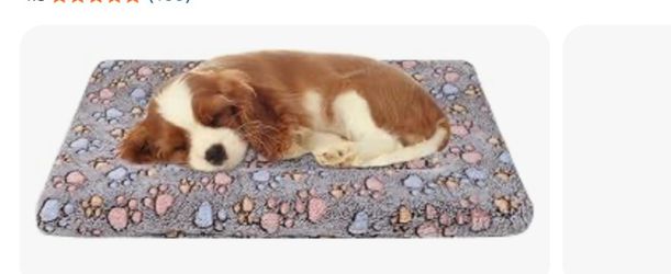Puppy bed