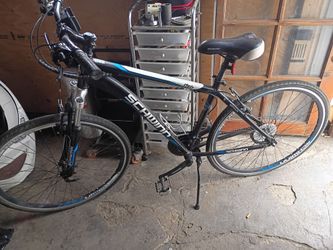 Schwinn