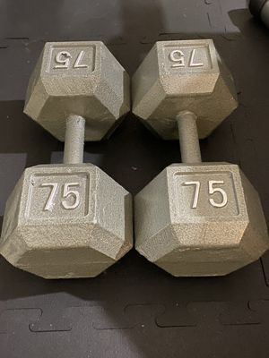 75 lbs - Dumbbell (Cast Iron Pair)