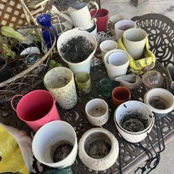 Plant pots & decor between $1-$5 each