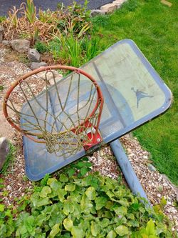 Basketball backstop, pole and hoop