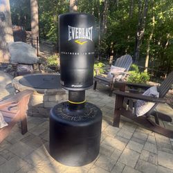 Everlast Power Core Boxing Bag