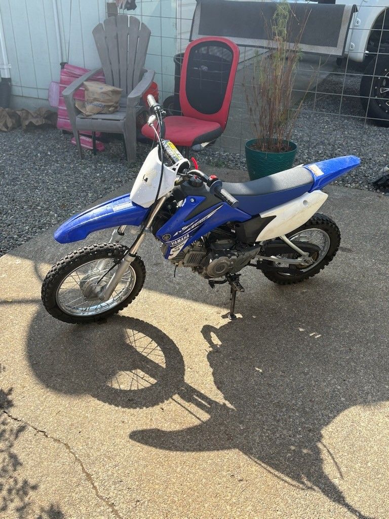 2017 Yamaha Ttr110
