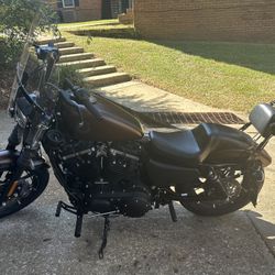 2019 Harley Davidson 883 Iron XL