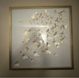 Butterfly glass picture