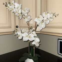 Fake Orchid 