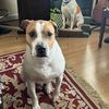 Duke
