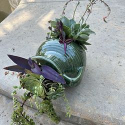 Beautiful Large Succulent Planter