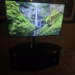 55 Inches TV  Panasonic   Which Stand   $125 