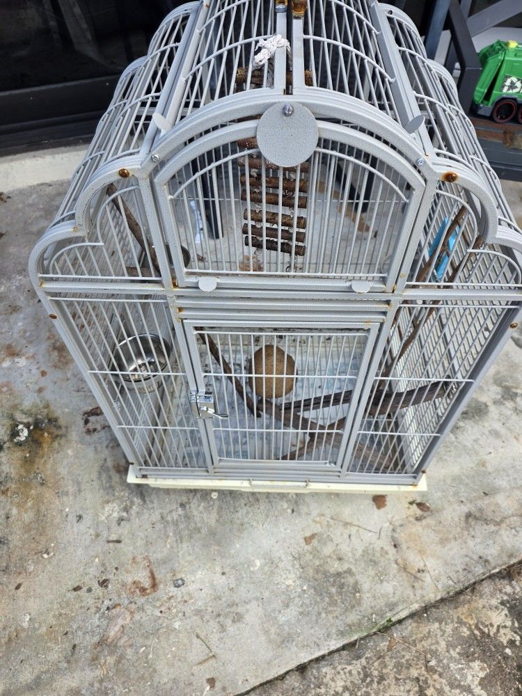 Bird Cage