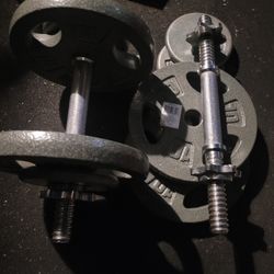 29lbs Dumbells Weights