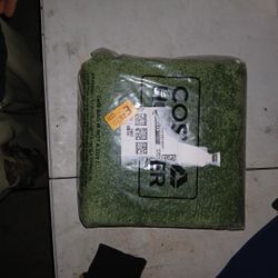 Green Rug