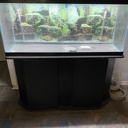 55 Gallon Aquarium 