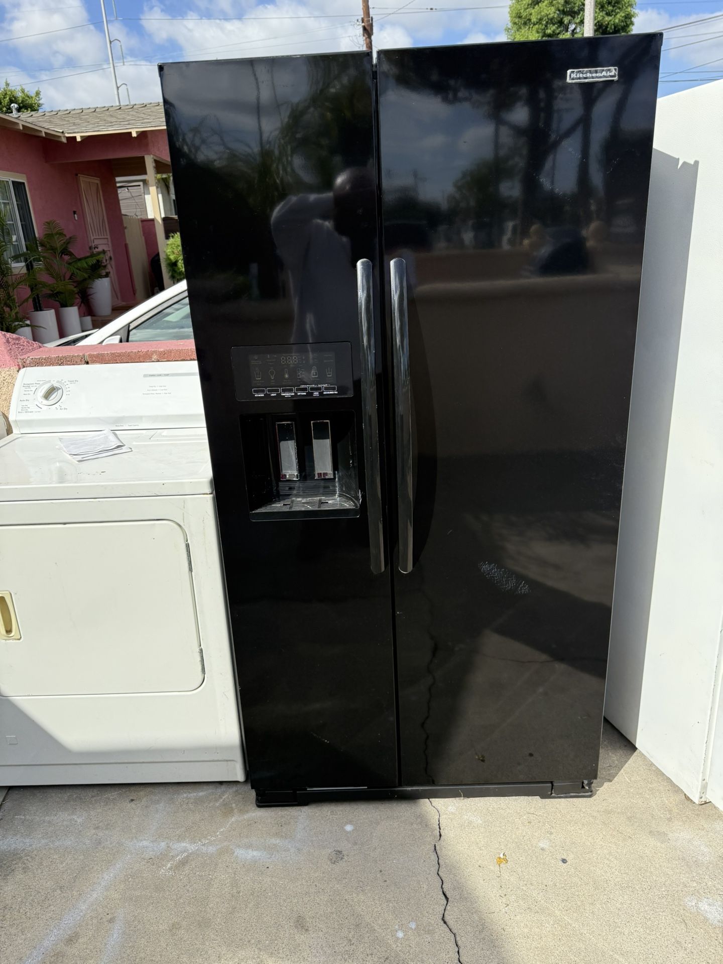 Black Beauty. Free. Deliver