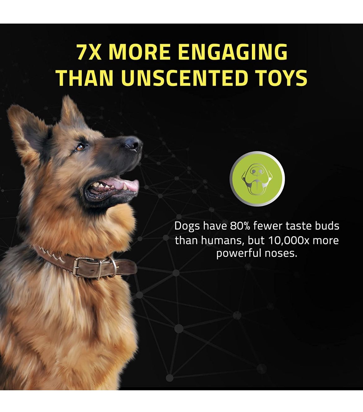 Squeaky Dog Toy - Engaging All-Natural Scented Dog Toys for Small, Medium & Large Dogs - Interactive & Tough Non-Toxic Chew Toys