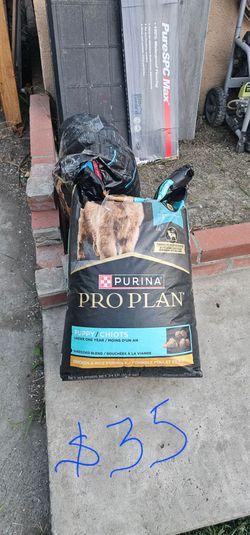 Dog food