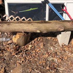 White Cedar Log