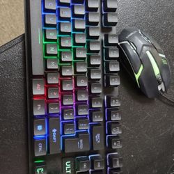 Gaming /  Keyboard Combo  Luminated 