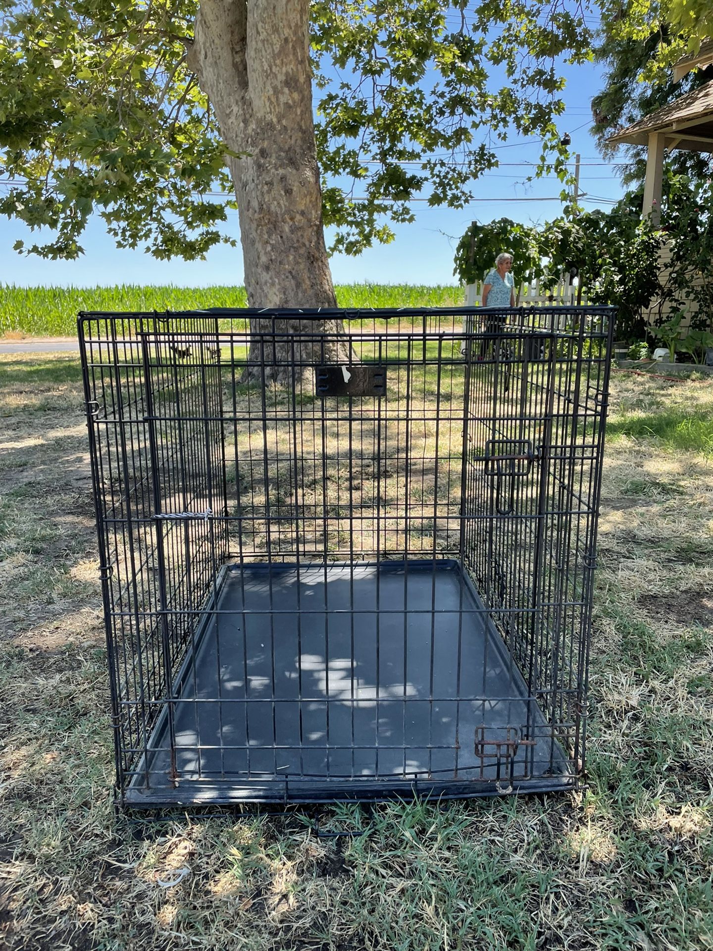 Large Dog Kennel 