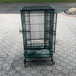 Bird Cage