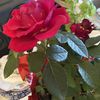 Treasure