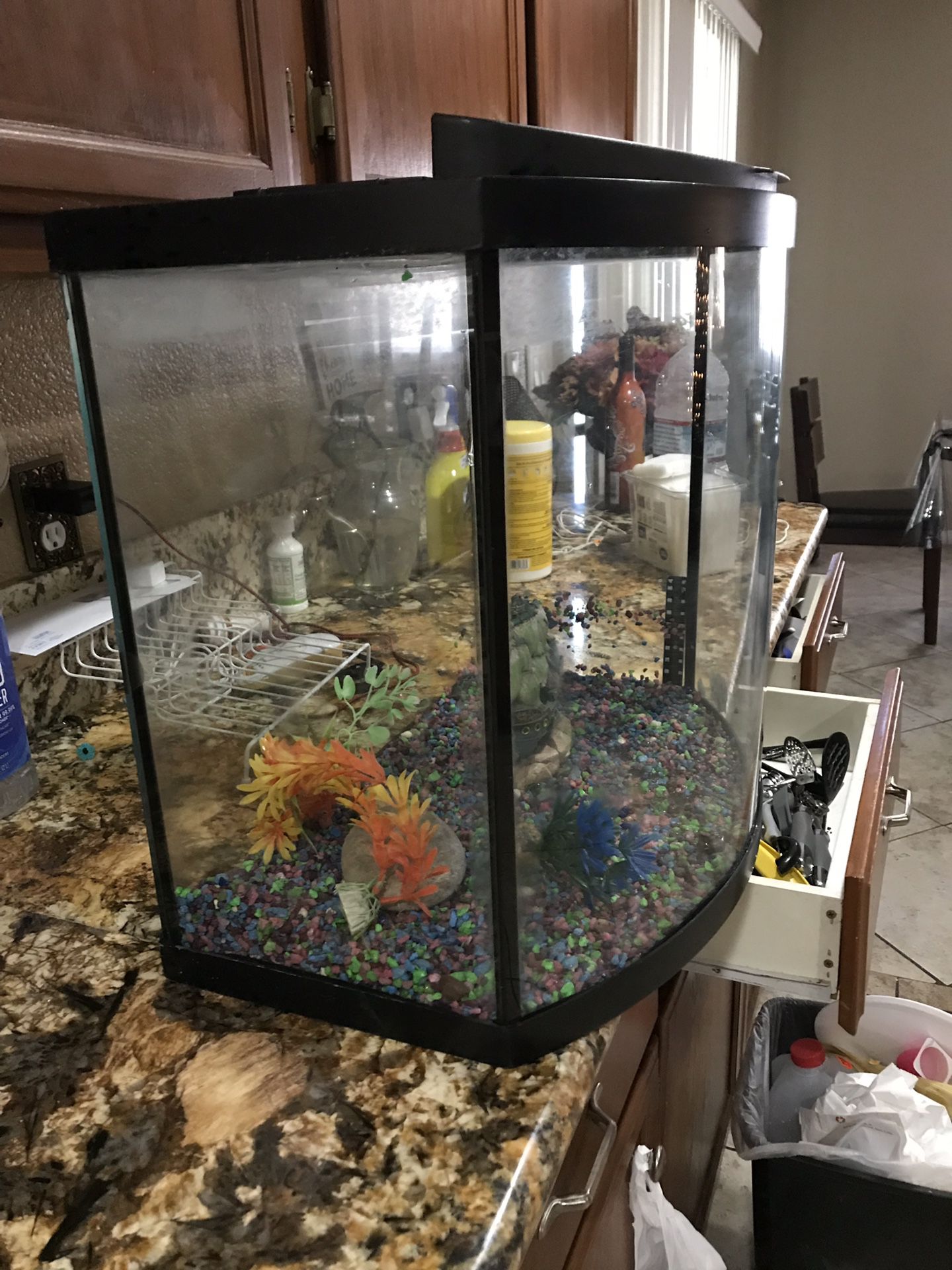 Fish tank 20 gallons..with lid, Rocks and Decoration.
