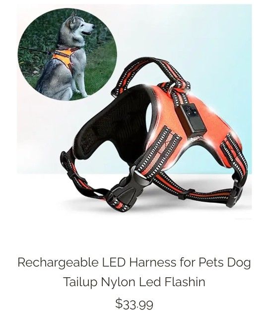 Leather rechargeable LED Dog harness