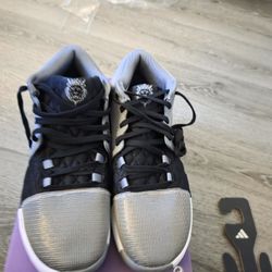 Nike LeBron Witness