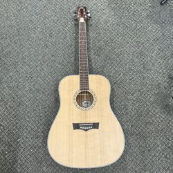 Peavey DW -2 Acoustic Guitar (No Case)