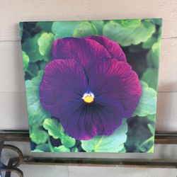 Flower framed canvas wall art
