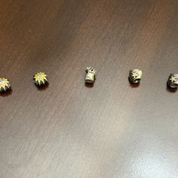 Pandora Charms Lot
