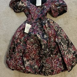 Holiday Dress Size XS (0-2)