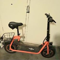 Electric Scooter 