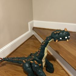 Beautiful Dragon 