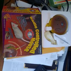 Radio Controlled Mouse