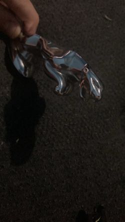 Jaguar Hood Ornaments